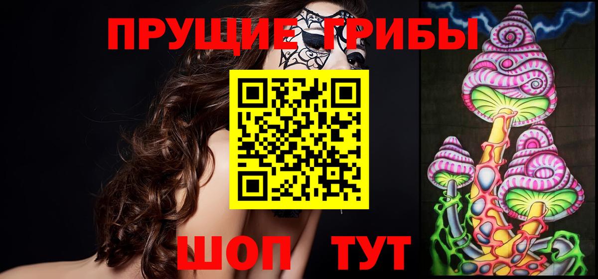 Псилоцибиновые грибы Cubensis  Галлюциногенные грибы Psilocybine cubensis  Кузнецк  Вход с VPN 